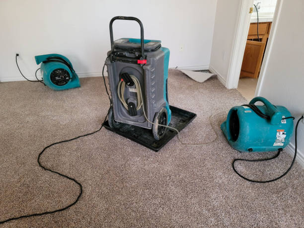 Best Water damage restoration specialists  in Edgewater, CO