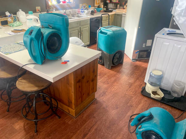 Best Water damage restoration near me  in Edgewater, CO