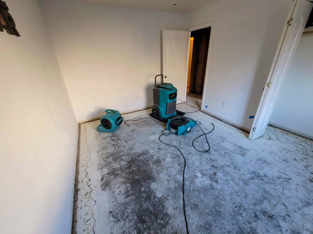 Best Local water damage restoration  in Edgewater, CO