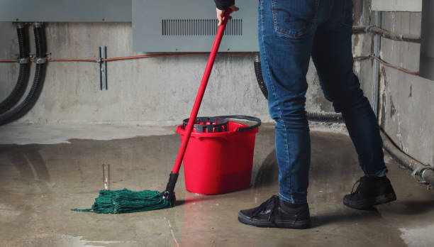 Best Flood restoration services  in Edgewater, CO
