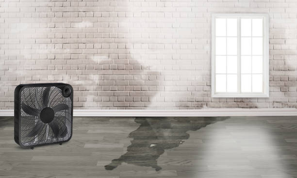 Best Flooded house restoration  in Edgewater, CO