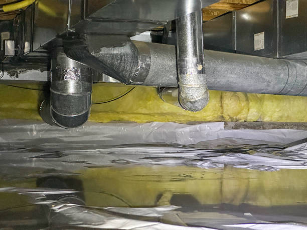 Best Ceiling water damage repair  in Edgewater, CO