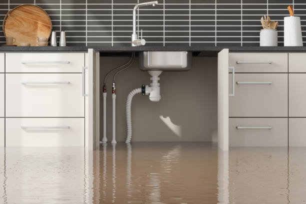 Best Water damage restoration near me  in Edgewater, CO