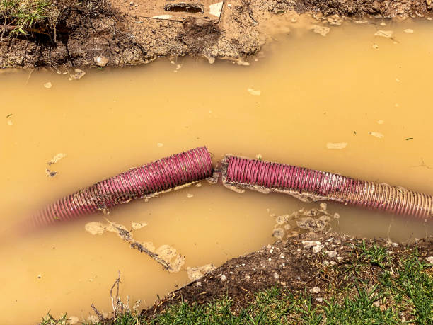 Carpet water damage restoration in Edgewater, CO