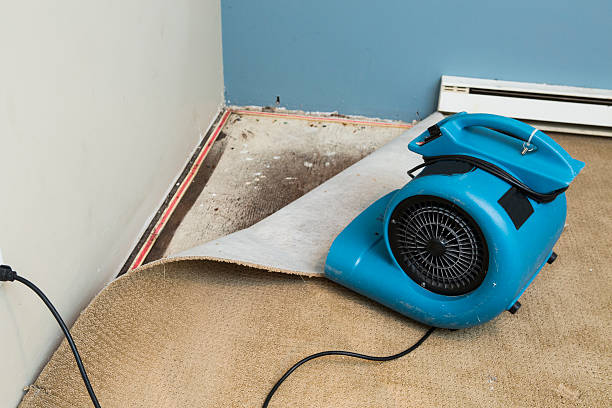Reliable Edgewater, CO Water damage restoration Solutions